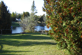 Access to common firepit